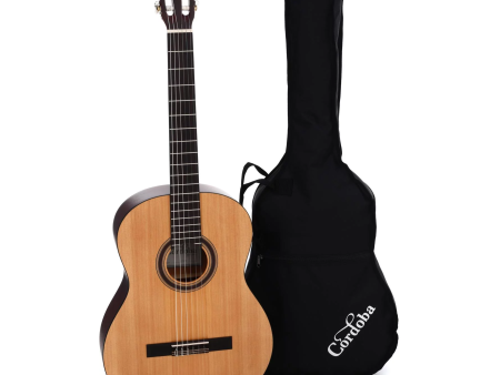 Cordoba CP100 Nylon 6-String Spruce Top Classical Guitar Pack - Satin Natural Cheap