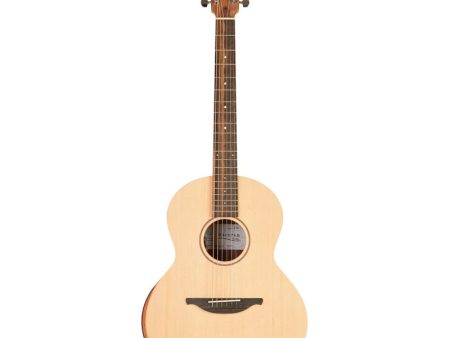 Lowden S02 Ed Sheeran Edition Signature Acoustic Guitar Online now