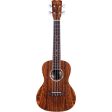 Cordoba 15CB Bocote Concert Ukulele (Satin) Online Sale