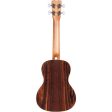 Cordoba 15CB Bocote Concert Ukulele (Satin) Online Sale