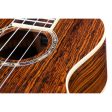 Cordoba 15CB Bocote Concert Ukulele (Satin) Online Sale